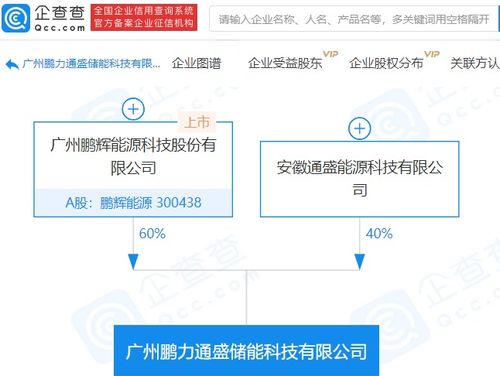 鵬輝能源參股成立儲能科技新公司，注冊資本達(dá)1億元，拓展信息系統(tǒng)集成服務(wù)